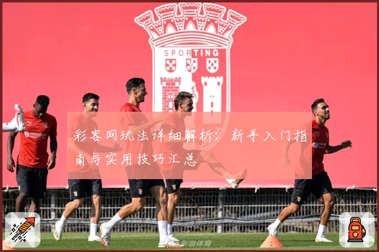 彩客网玩法详细解析：新手入门指南与实用技巧汇总