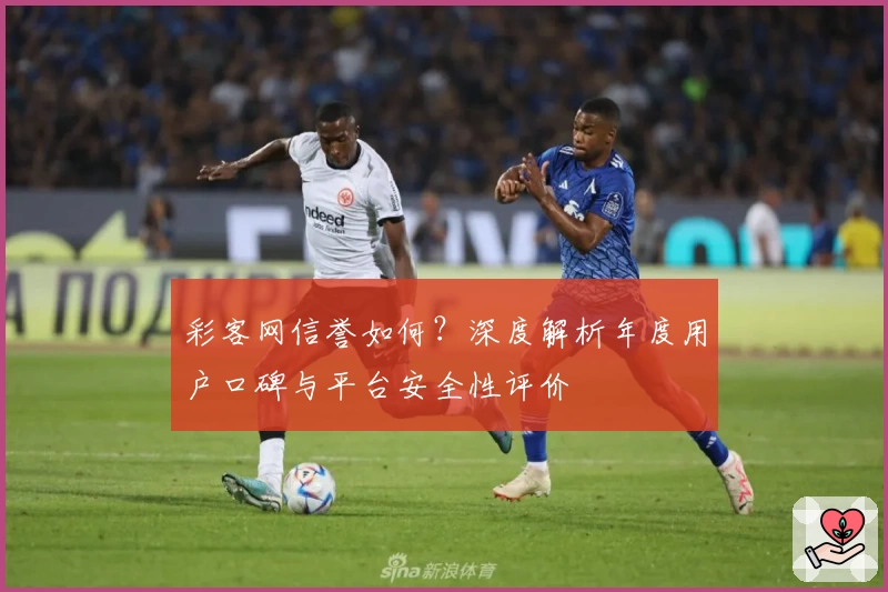 彩客网信誉如何?深度解析年度用户口碑与平台安全性评价