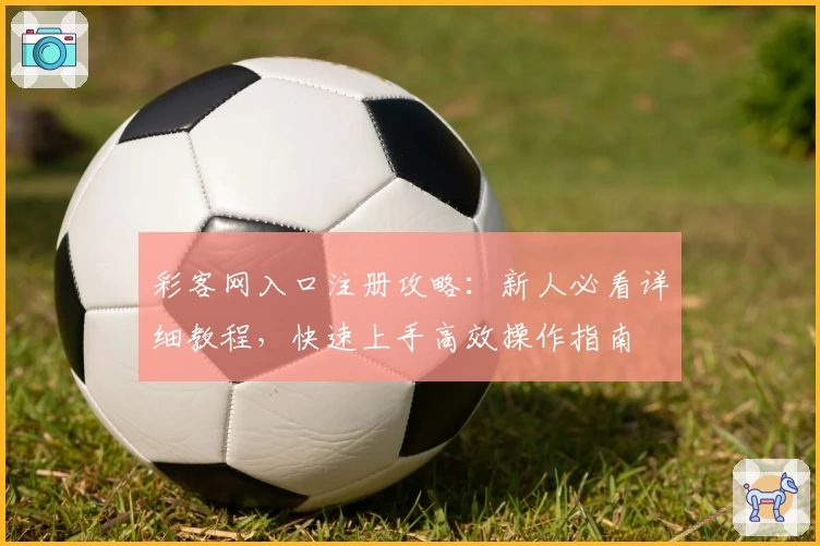 彩客网入口注册攻略：新人必看详细教程，快速上手高效操作指南