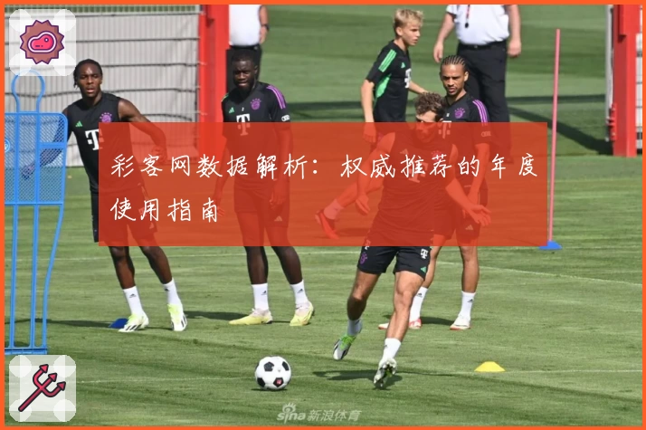 彩客网数据解析：权威推荐的年度使用指南