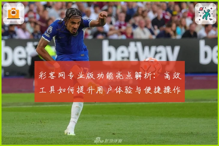 彩客网专业版功能亮点解析:高效工具如何提升用户体验与便捷操作