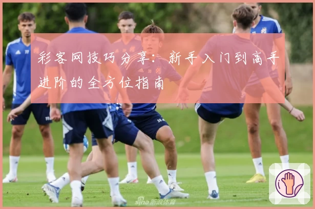 彩客网技巧分享:新手入门到高手进阶的全方位指南