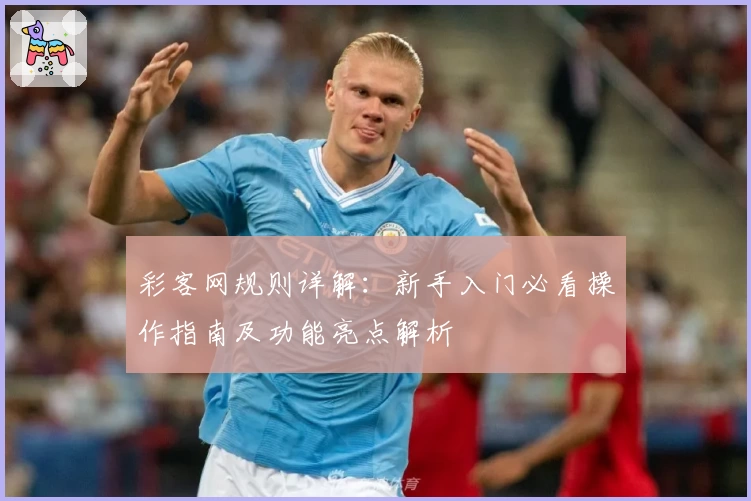 彩客网规则详解:新手入门必看操作指南及功能亮点解析