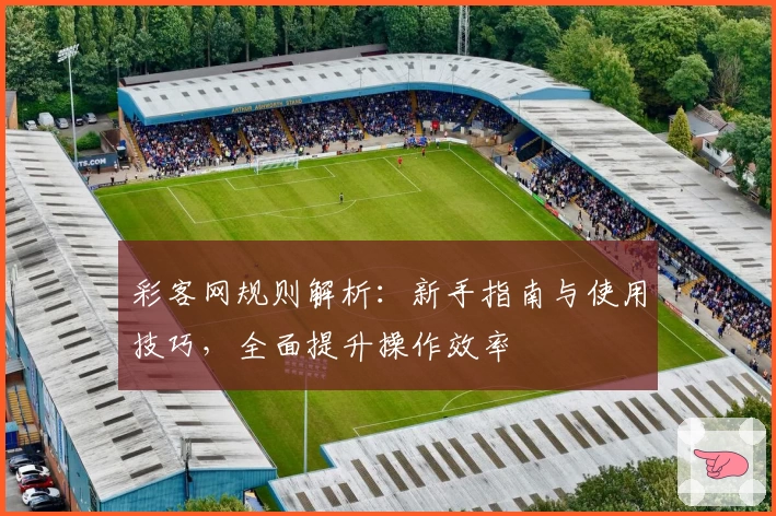 彩客网规则解析:新手指南与使用技巧,全面提升操作效率
